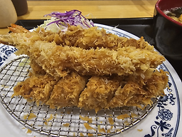 미토요 대표 사진