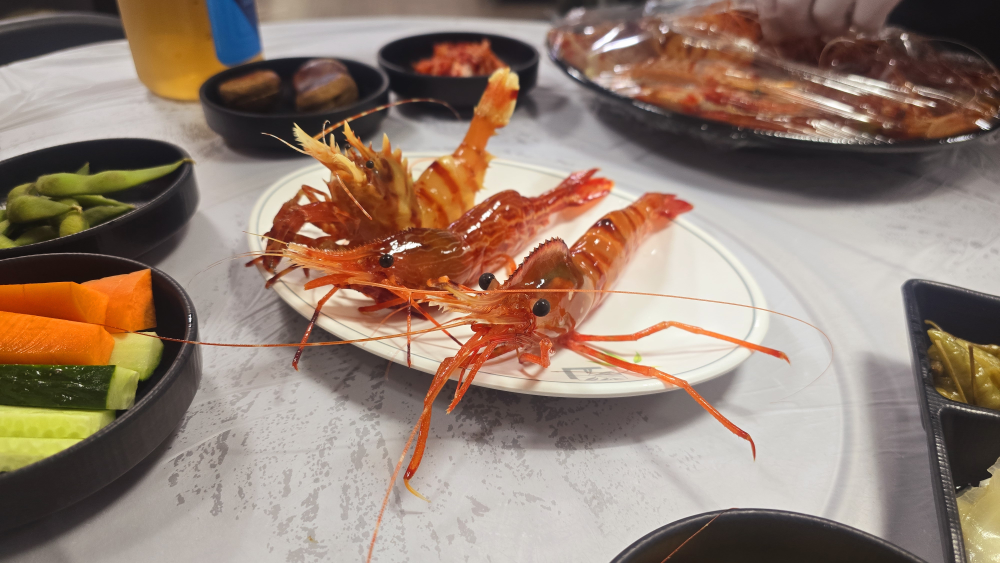 울릉새우 4