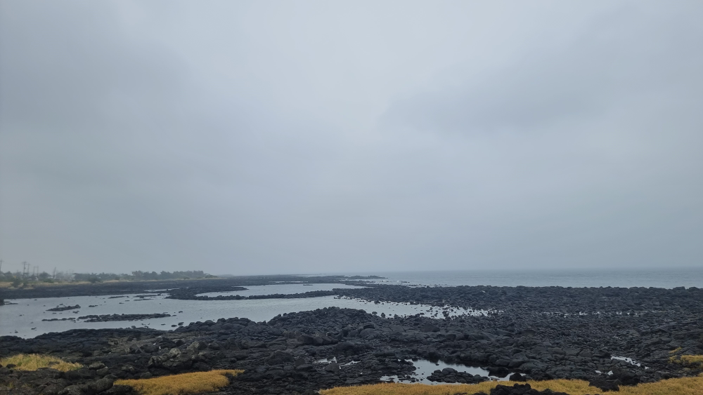 초로 사진 8