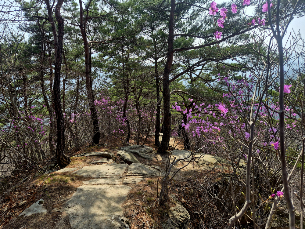 Yunsikdang 3