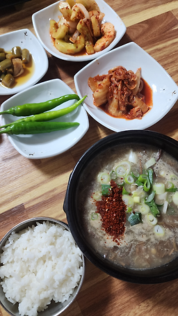 수목이네 사진 2