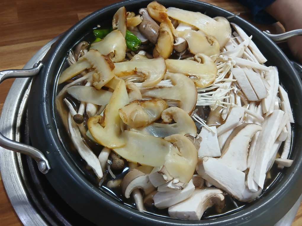 산골버섯 3