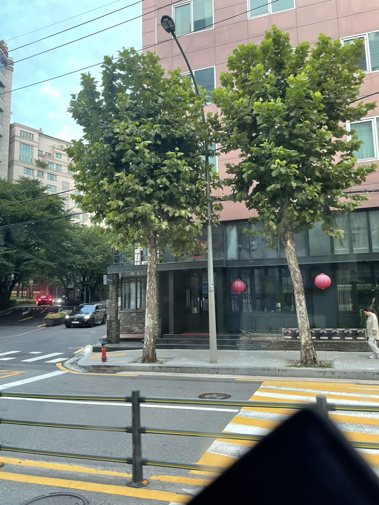 마오 사진