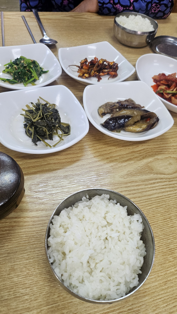 다솔강 2