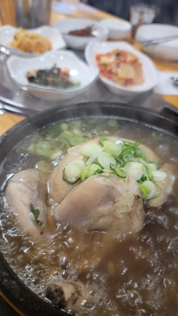 Huiwonhanbangneungibaeksuk (희원한방능이백숙) 1