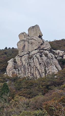 홍천강민물매운탕 4