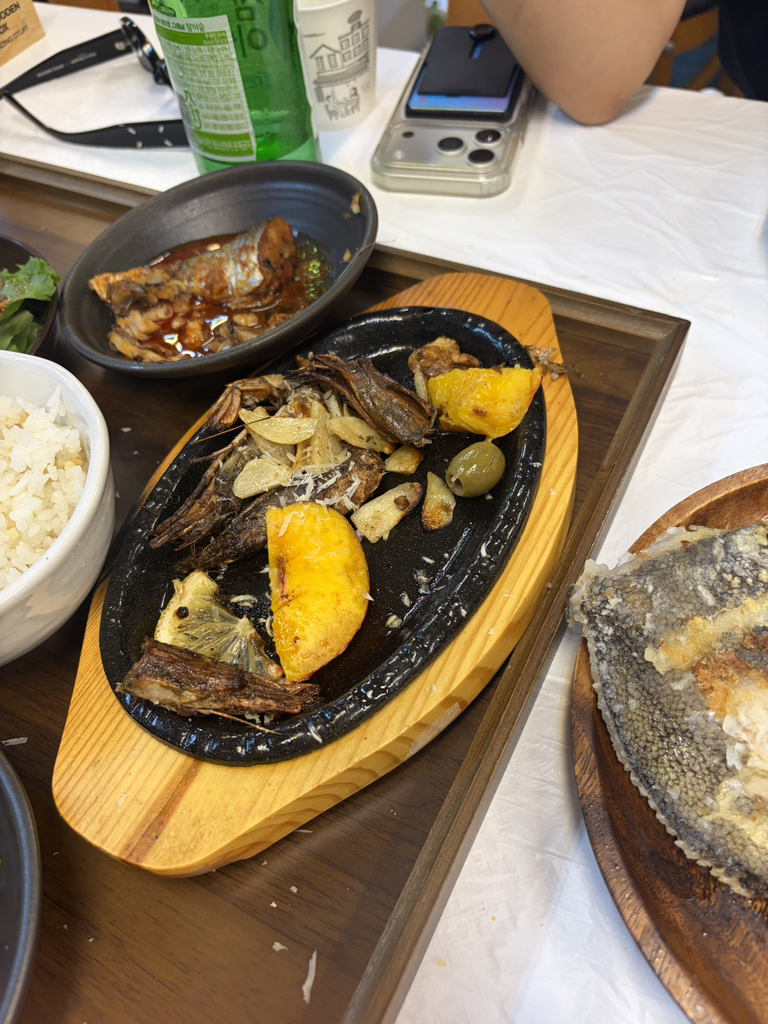온도 11
