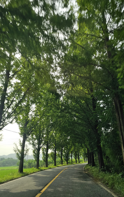 Dokgoldakjip (독골닭집) 1
