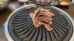 낙동생오리 3