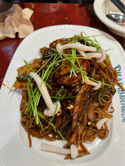 차알브라운 사진 6