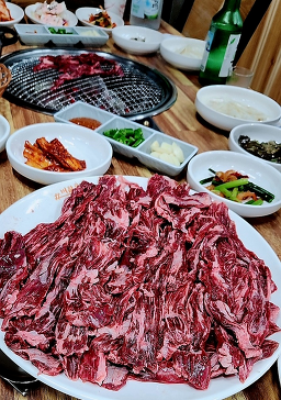 금정 5