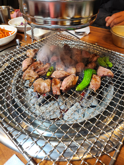 문정갈매기 사진 6