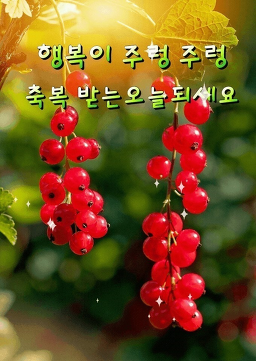 Yuninechondubu 6