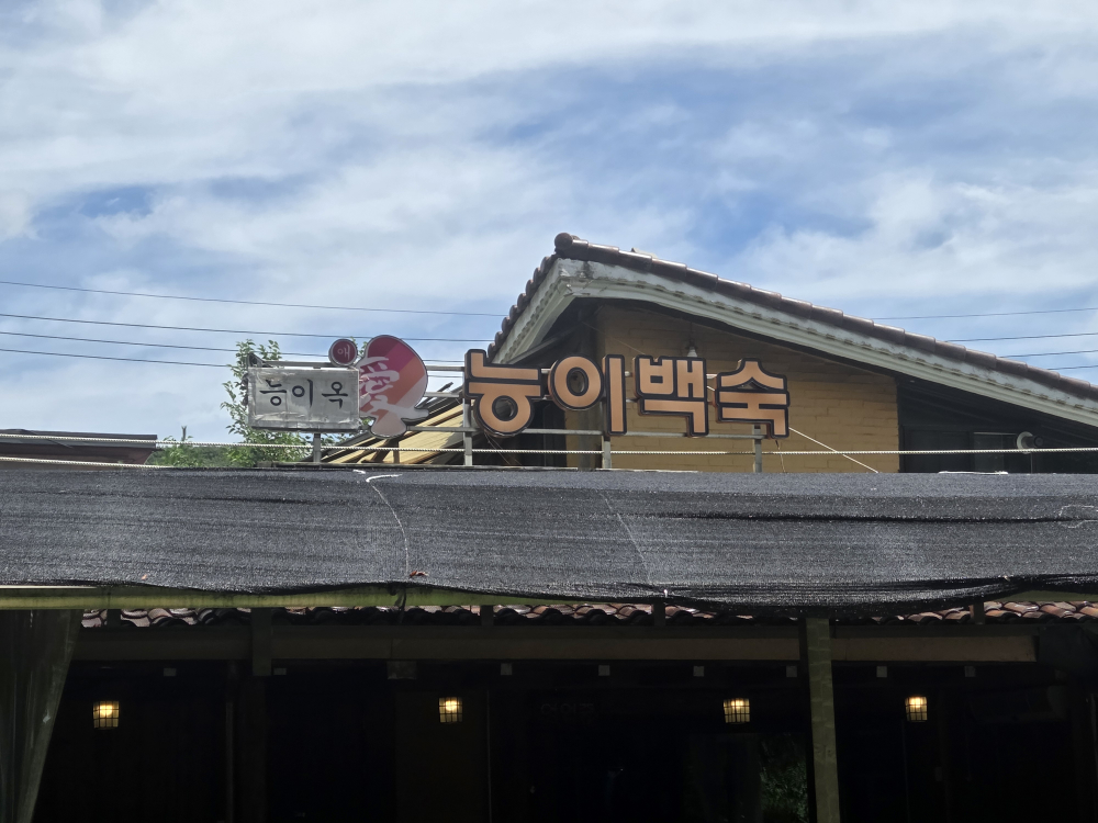 Neungiok (능이옥) 3