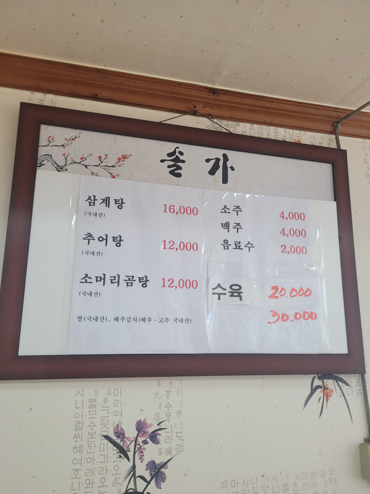 솔가 6