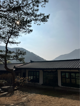 기양초 3
