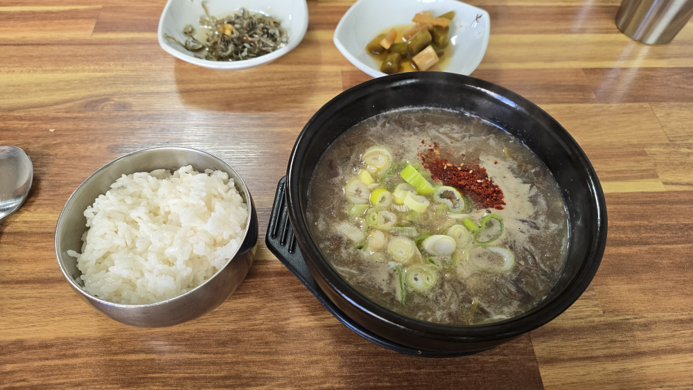 수목이네 대표 사진