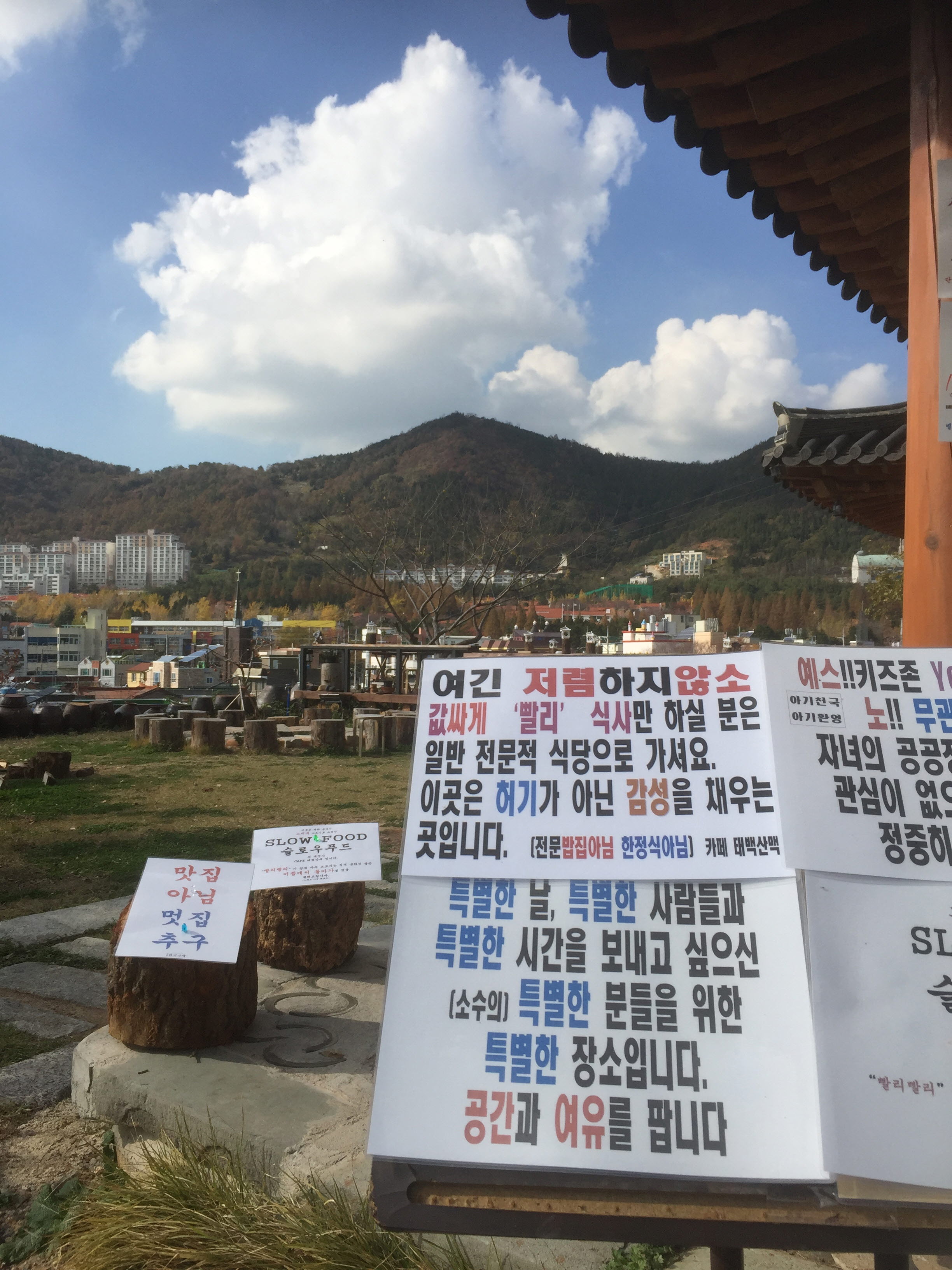 태백산맥 6