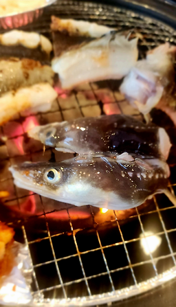 Tongyeongbadajangeo (통영바다장어) 1