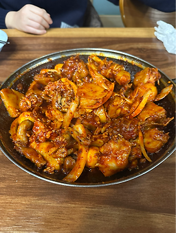 쌍용폐계닭 3
