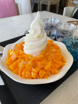파파엔도터