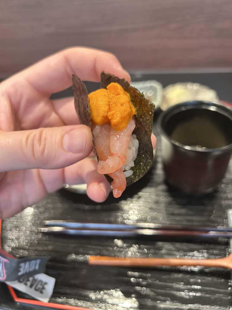 스시타네 사진 8