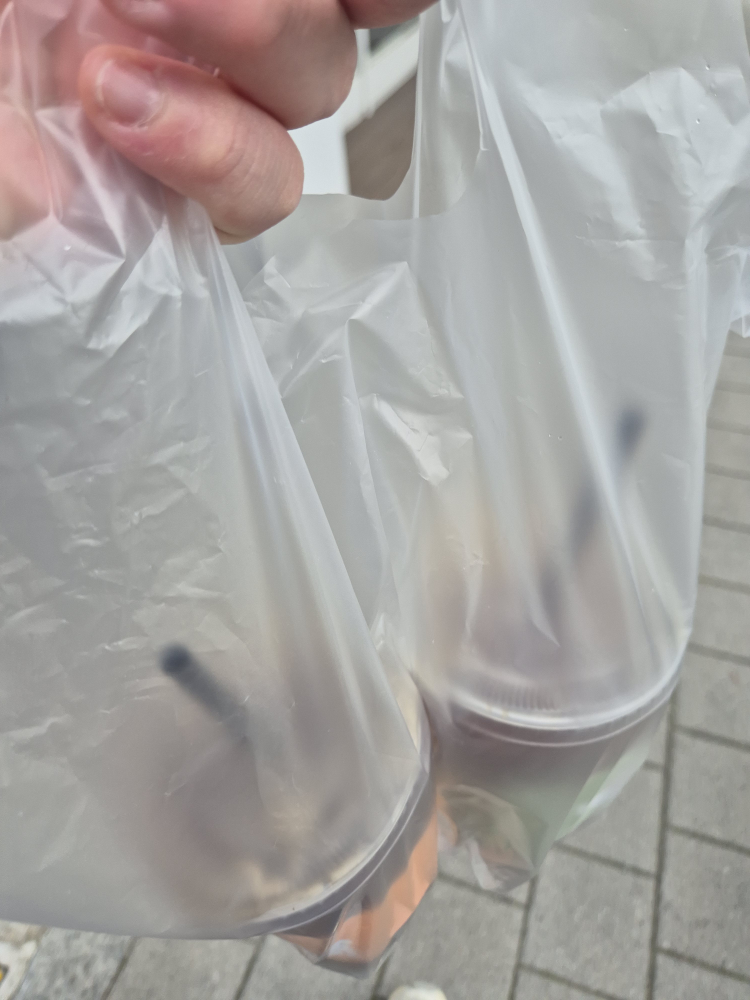 카페스타 4