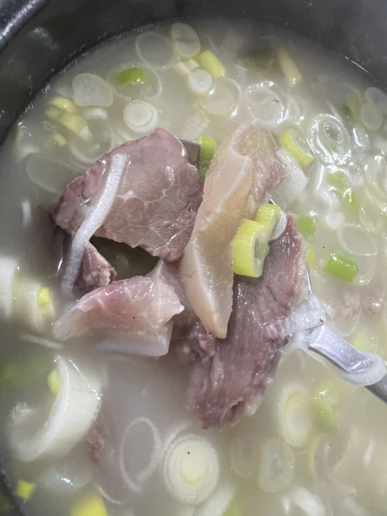 갱치 4