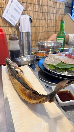 오로라회센타 사진 3