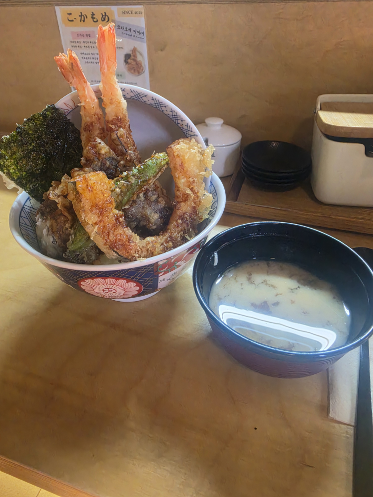 코카모메 1