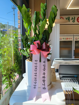경복궁개성손만두 3