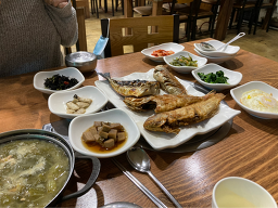뜰채 사진 6