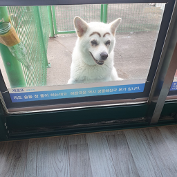 Gungjunghaejangguk (궁중해장국) 1