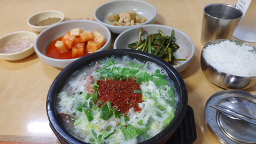 감초식당 4