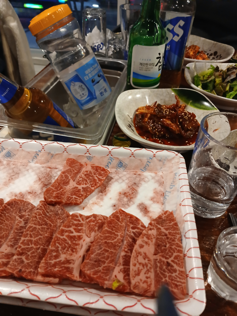 안동황소고집 2