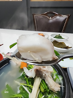 본스시 4