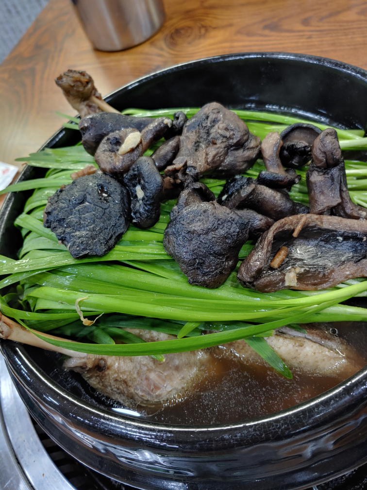 Gipiulori (깊이울오리) 3
