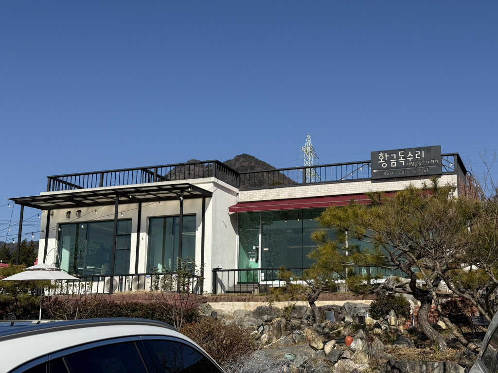 Hwanggeumdoksuri (황금독수리) 1