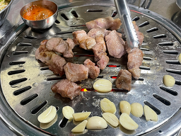숯돌이네돼지 사진 2
