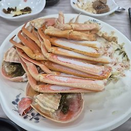 해양회대게센타 4