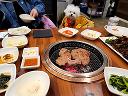 음식점닥터 육팩트 1