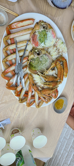 강남활어 5