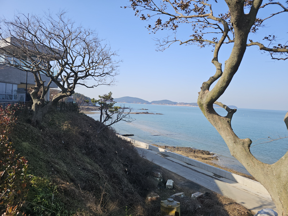 바이더오 4