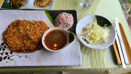 창꼬 사진 5