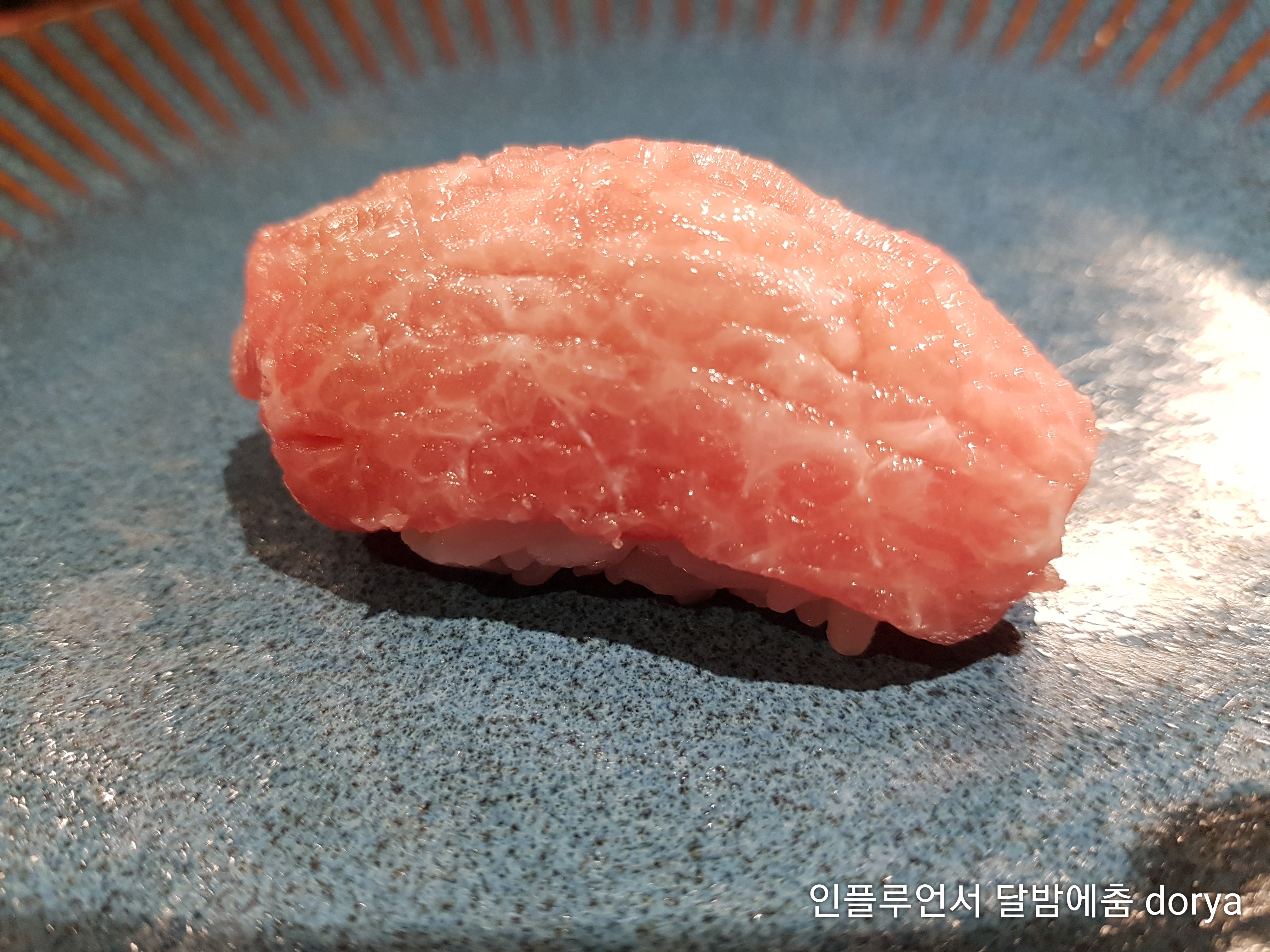 정참치 사진 5