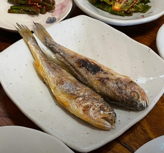 해가빛 5