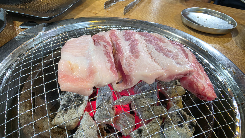 고기어때 사진 5