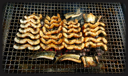 훔친장어 1
