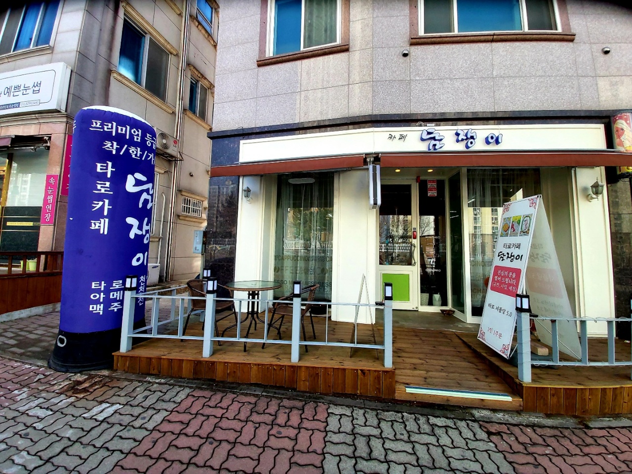 타로카페담쟁이