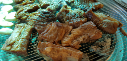 산호가든 3